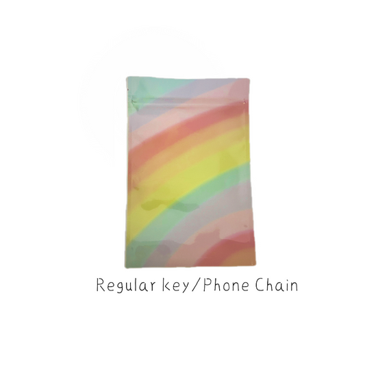 Regular Keychain/Phone chain Bags